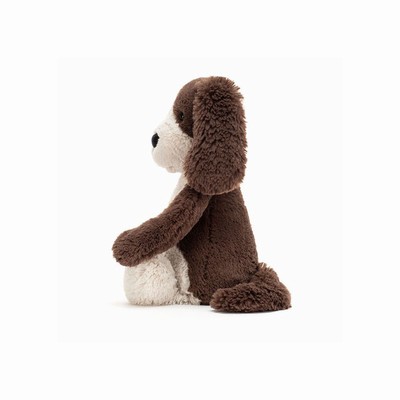 Jellycat Bashful Fudge Dog USA | 16708SVLG